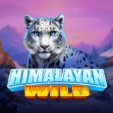 Bocoran RTP Slot Pragmatic Himalayan Wild